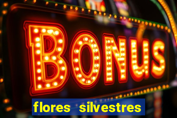 flores silvestres desbravadores desbravadores 25 flores silvestres e seus nomes